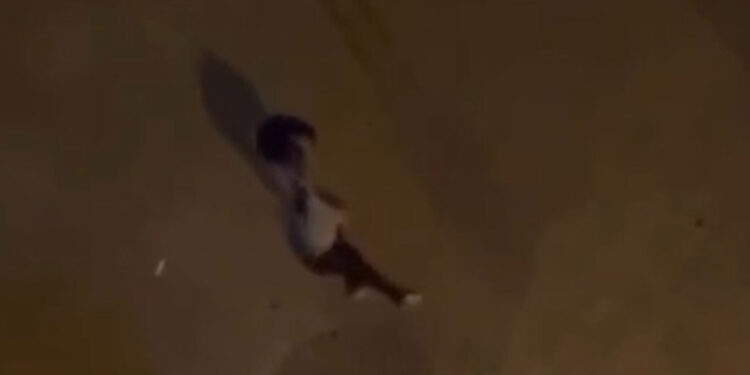 Adana'da uyuşturucu satan kişiye meydan dayağı