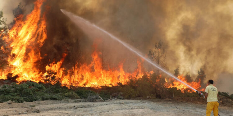 Ağaçlandırmak değil, yangına dirençli orman kurmak lazım
