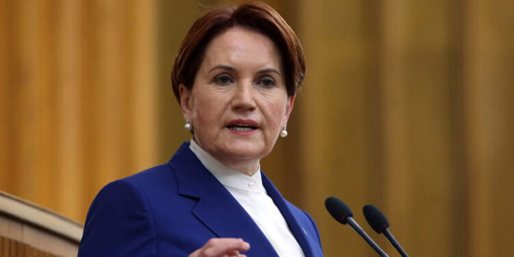 Akşener'den Erdoğan'ın ittifak çağrısına yanıtı