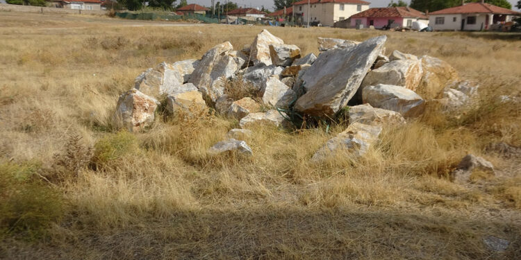 Arazide yeni doğmuş bebek cesedi bulundu