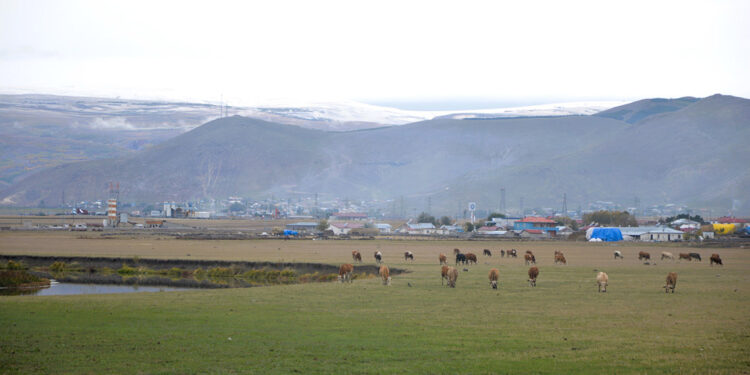 Ardahan'ın yükseklerinde kar yağışı