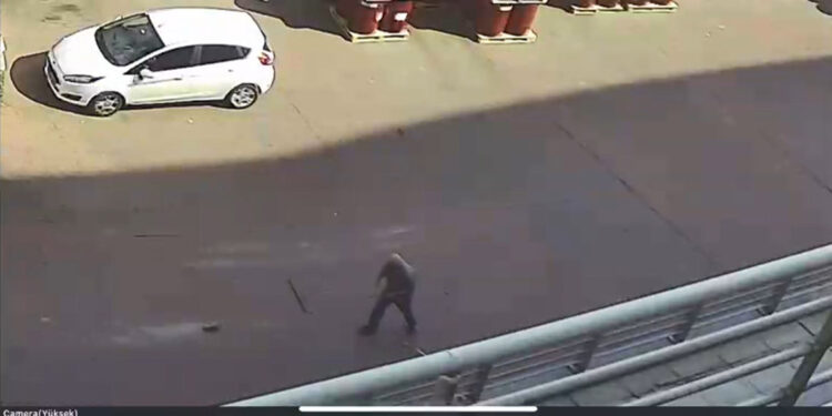 Başakşehir'de yavru kediye şiddet kamerada