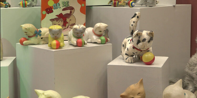 Beşiktaş’ta ‘Kedi Müzesi’ açıldı