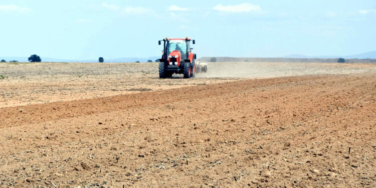 Birinci sınıf tarım alanında plastik OSB kurulmasına red