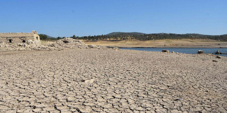 Bodrum'da 2 baraj kurudu, vatandaşlar susuz kaldı