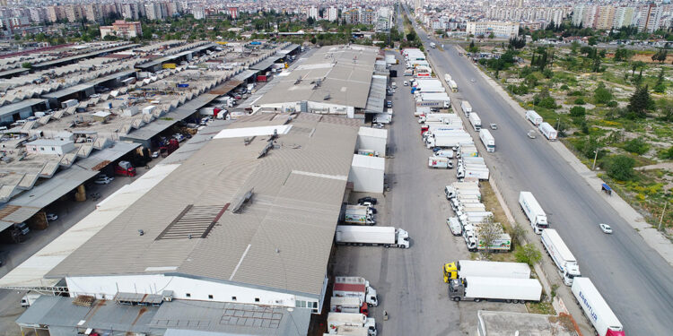 Bulgaristan sınır kapılarında TIR'cıların 'analiz' çilesi