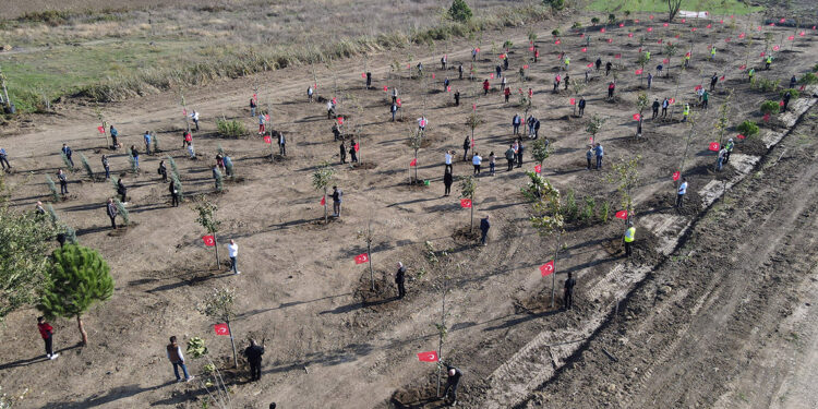 Büyükçekmece’de ‘100. Yıl Cumhuriyet Ormanı’ oluşturuldu