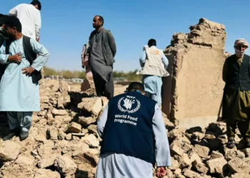 Dünya gıda programı deprem sonrası afganistan’da