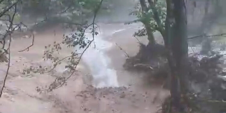 Elazığ'da dolu yağışı; üzüm bağları zarar gördü