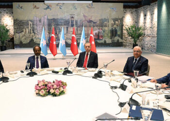 Erdoğan, Somali Cumhurbaşkanı ile görüştü