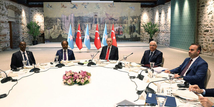 Erdoğan, Somali Cumhurbaşkanı ile görüştü