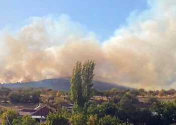 Eskişehir'de ormanda yangın