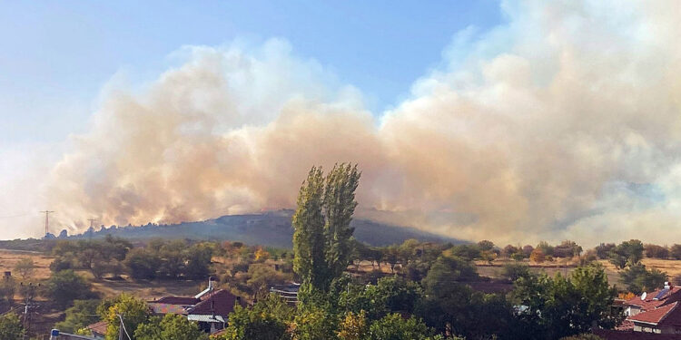 Eskişehir'de ormanda yangın