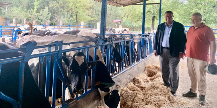 Hayvancılıkta ithalatta çözüm olmuyor