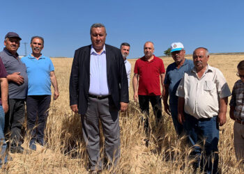 Gürer, çiftçi sayısındaki artış için önerge verdi