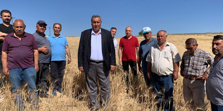 Gürer, çiftçi sayısındaki artış için önerge verdi