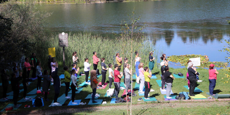 Gölcük'te çam ağaçları arasında yoga