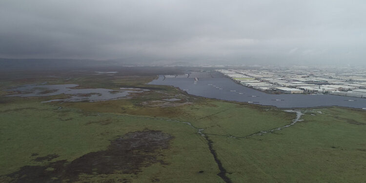 Hürmetçi Sazlığı'nın bir bölümüne sanayi bölgesi yapılmış