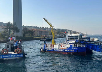 İstanbul Boğazı'nda midye operasyonu