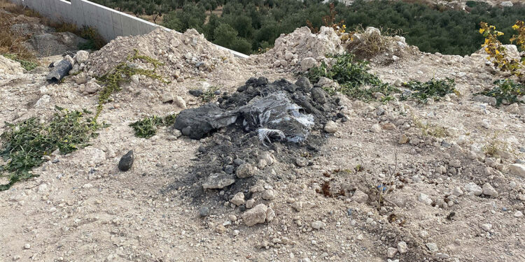 İzmir'de kimyasal atık şüphesine inceleme