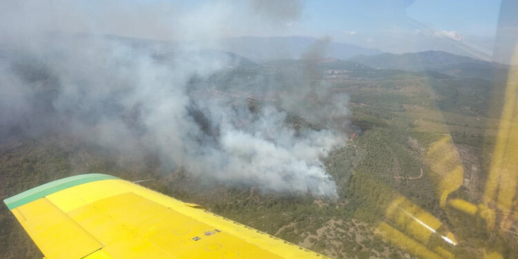 İzmir'in Bayındır ilçesinde orman yangını