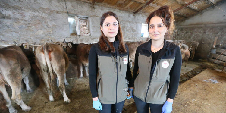 Kadın veterinerler, köy köy hastalıklarla mücadele ediyor