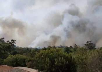 Kanarya adaları'nda yangın: 3 bin sivil tahliye edildi