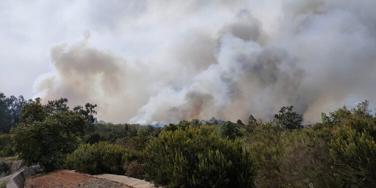Kanarya Adaları'nda yangın: 3 bin sivil tahliye edildi