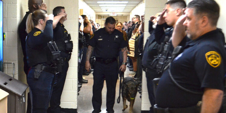 Kanser teşhisi konulan K9 köpeği, emekli edildi