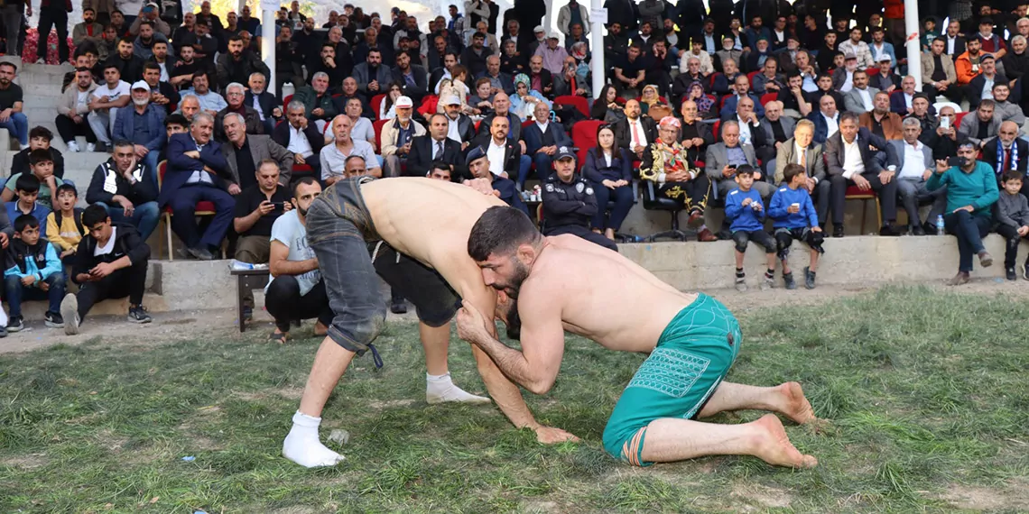 Karakucak gureslerinin baspehlivani fatih yasarli olduz - spor haberleri - haberton