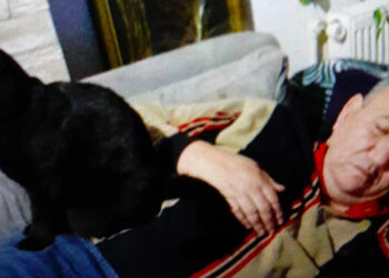 Kedilere mama verirken kuyuya düşerek öldü