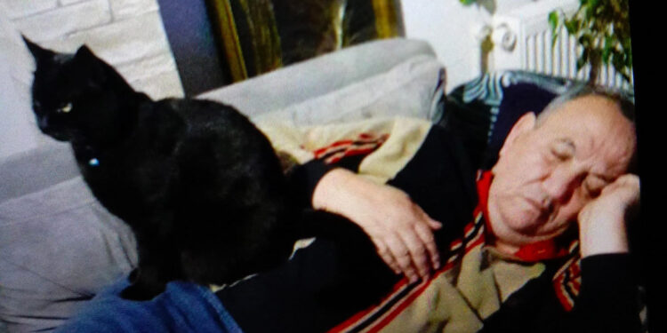 Kedilere mama verirken kuyuya düşerek öldü