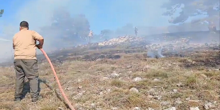 Kütahya'nın Domaniç ilçesinde orman yangını