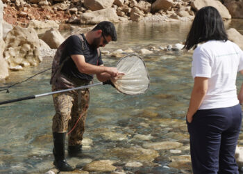Leopar sazanı bulmak için Siirt’e geldiler