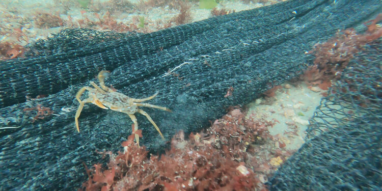 Marmara Denizi'nde 4 noktada hayalet ağ temizliği