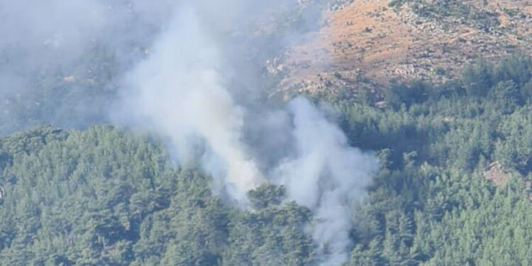 Muğla'nın Köyceğiz ilçesinde orman yangını