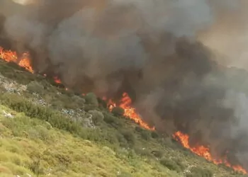 Muğla'nın seydikemer ilçesinde makilik yangını