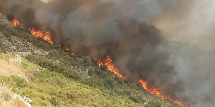 Muğla'nın Seydikemer ilçesinde makilik yangını