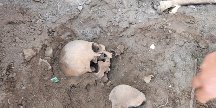 Okul bahçesinde insan kemikleri bulundu