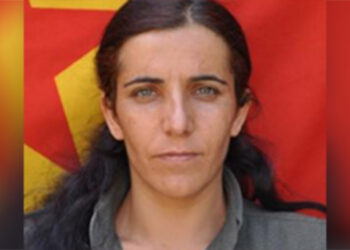 PKK'nın sözde toplumsal alan sorumlusu etkisiz hale getirildi