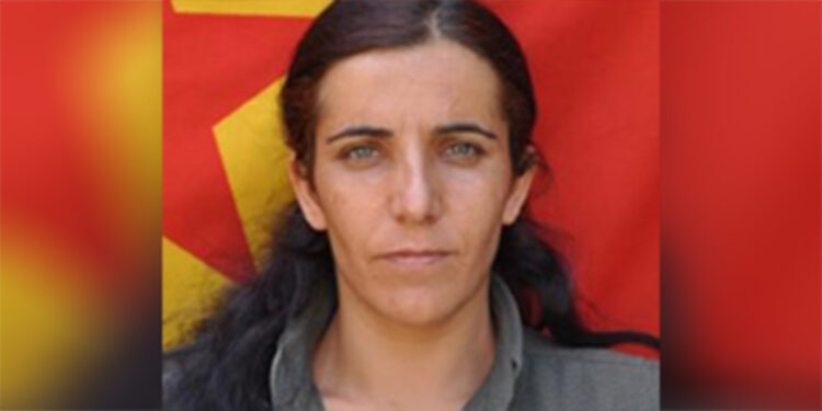 PKK'nın sözde toplumsal alan sorumlusu etkisiz hale getirildi