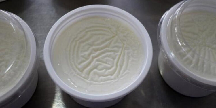 Prof. Dr. Korkut: Yoğurt doğal antidepresandır