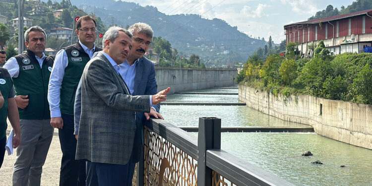 Rize'de yağışlar sonrası yollar ve derelerde inceleme