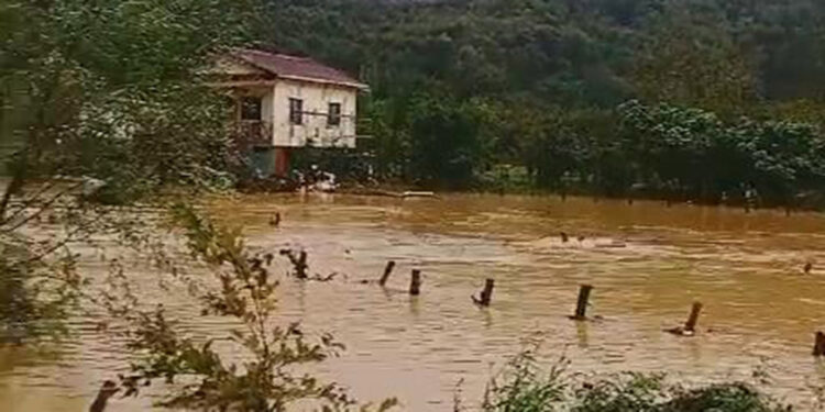 Şile'de yağışın ardından dere taştı