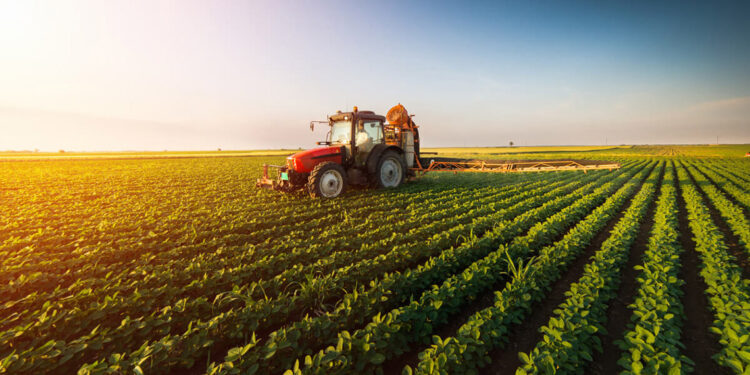 TÜİK: Tarımsal girdi fiyat endeksi ağustosta arttı