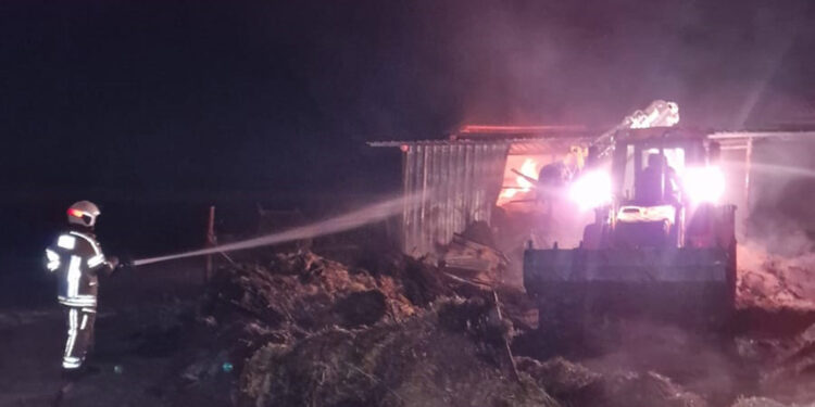 Tadilat yapılan ağılda yangın çıktı; 44 küçükbaş öldü