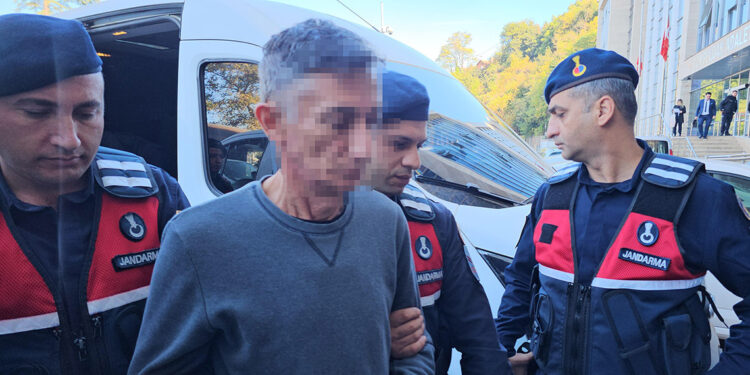 Torununa cinsel istismardan yargılanan dedeye tahliye