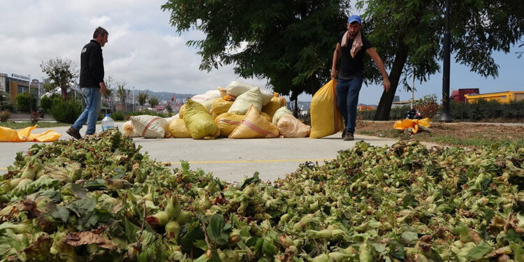 Trabzon'da turizm geliri, fındığı solladı