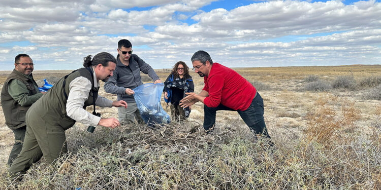 Türkiye’de 12 çift kalan bozkır kartallarının yuvalarına koruma