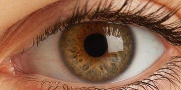 Türkiye’de 8,4 milyon kişide görme bozukluğu var